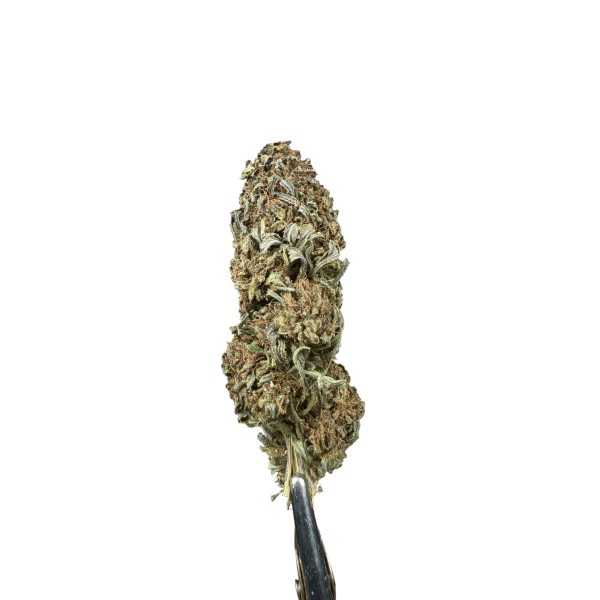 Gorilla Glue Cannabis Spot — susz konopny 5 g, ujęcie opakowania i kwiatów