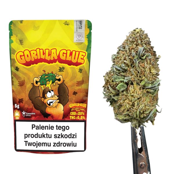 Susz CBD Gorilla Glue Cannabis Spot 5 g — kolekcjonerski susz konopny w opakowaniu