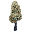 Cannabis Spot Susz Therapy z kannabigerolami 5G Therapy Cannabis Spot — susz konopny 5 g, ujęcie opakowania doypack