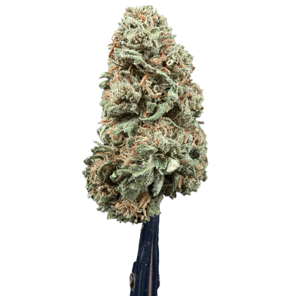Cannabis Spot Susz Therapy z kannabigerolami 5G Therapy Cannabis Spot — susz konopny 5 g, ujęcie opakowania doypack