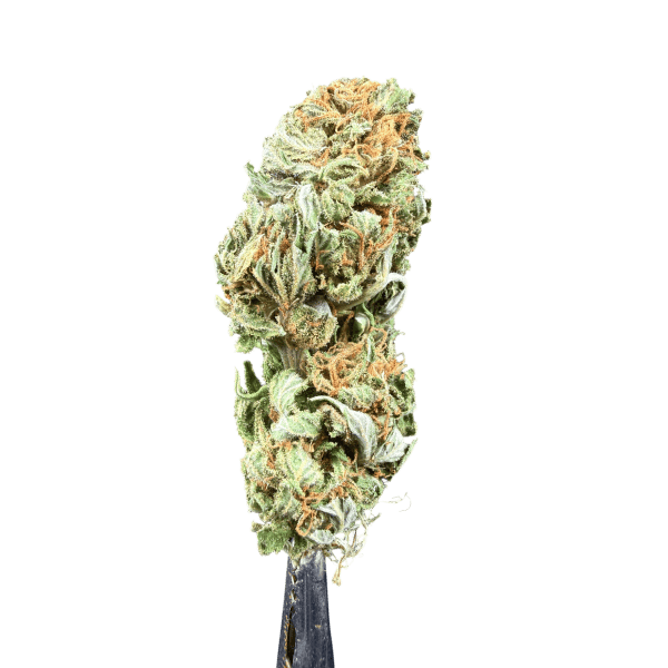 Cannabis Spot Hanfblüten Amnesia Haze 5G Amnesia Haze Cannabis Spot – 5 g getrockneter Hanf, Foto der Verpackung und Blüten
