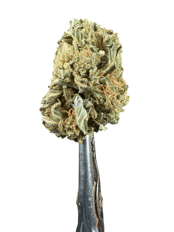 Cannabis Spot Susz konopny Strawberry Haze 5G Susz Strawberry Haze — jasnozielone topki konopne oszronione trichomami