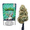 Cannabis Spot Susz Therapy z kannabigerolami 5G Susz Therapy z kannabigerolami — Cannabis Spot 5 g, kolekcjonerski susz w doypacku