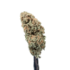 Cannabis Spot Susz Therapy z kannabigerolami 5G Susz konopny Therapy — masywne, zwarte topki konopne o jasnej barwie