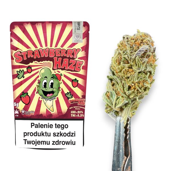 Hanfblüten Strawberry Haze Cannabis Spot 5 g — Sammlersusz in Verpackung