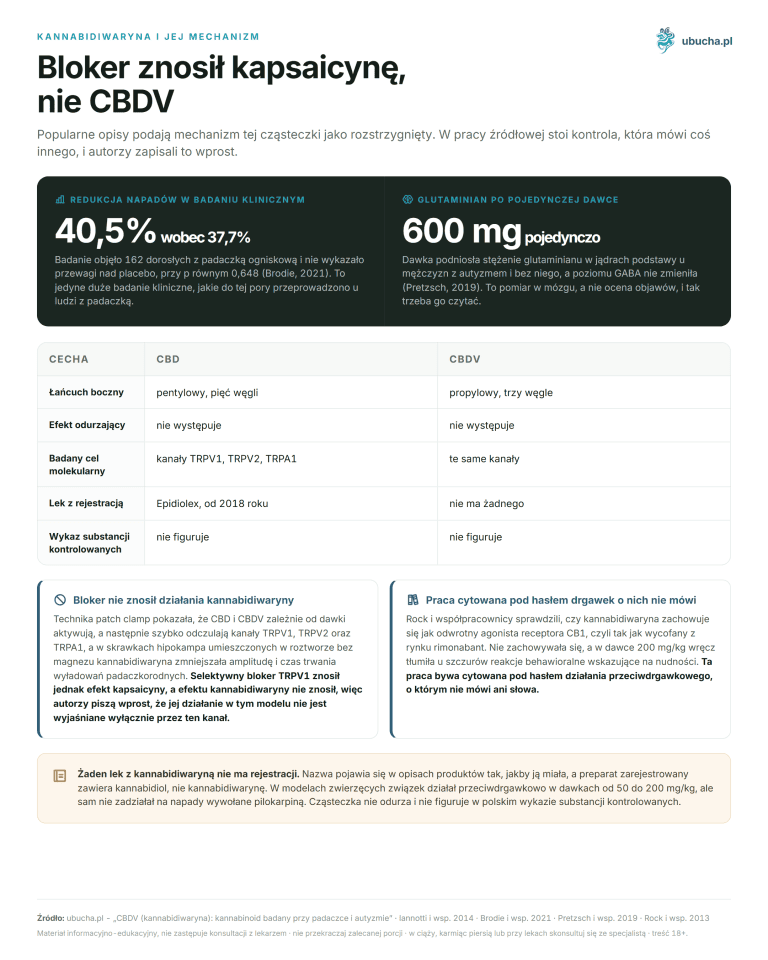 Kannabidiwaryna i jej mechanizm - Bloker znosił kapsaicynę, nie CBDV