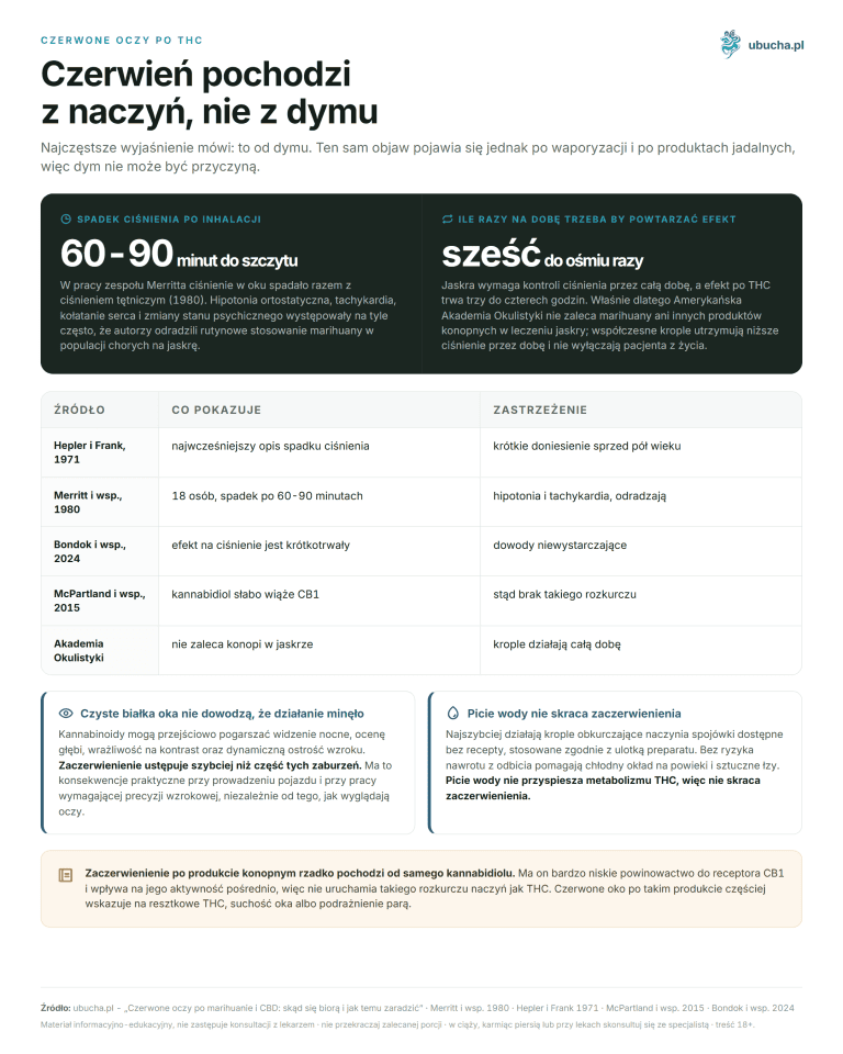 Czerwone oczy po marihuanie i CBD: skąd się biorą i jak temu zaradzić (FAQ) Czerwone oczy po THC - Czerwień pochodzi z naczyń, nie z dymu