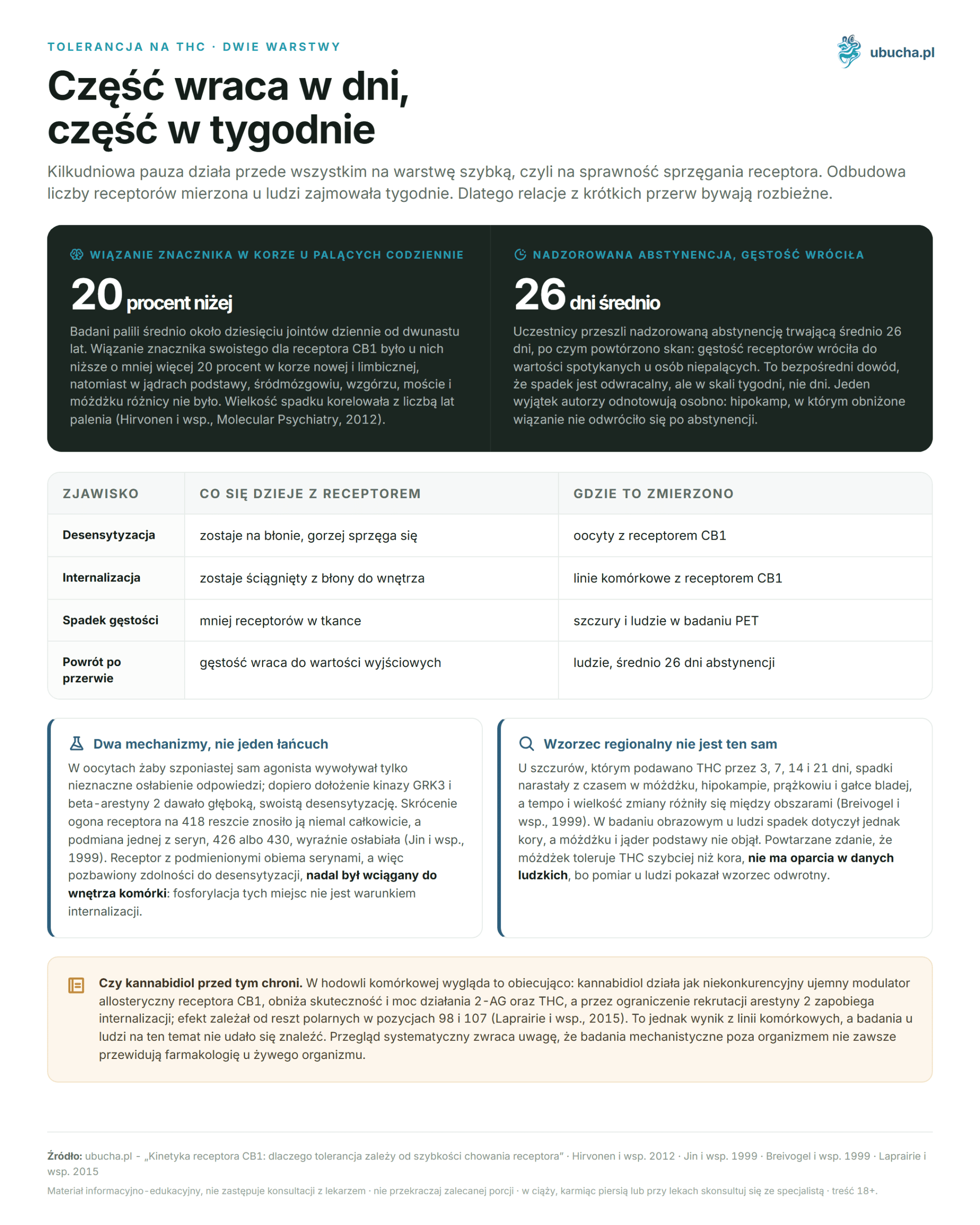 CB1 Receptor Kinetics: Why Tolerance Depends on Receptor Internalization Speed Tolerancja na THC, Dwie warstwy - Część wraca w dni, część w tygodnie