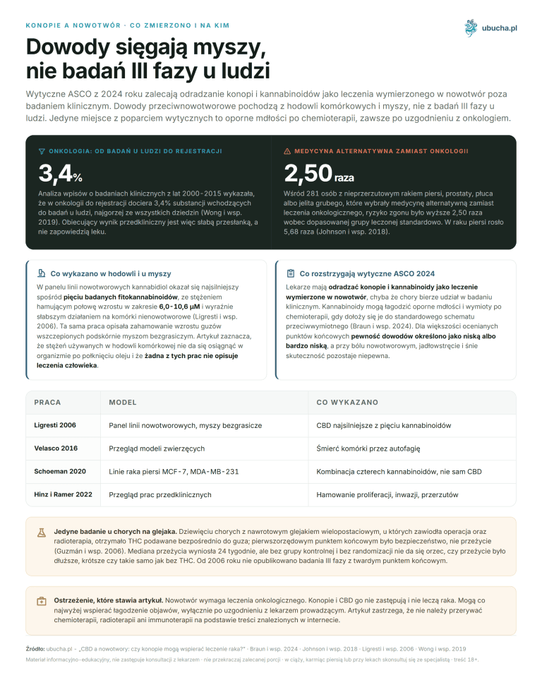CBD and cancer: can cannabis support cancer treatment? Hemp and cancer, What was measured and on whom - Evidence reaches mice, not phase III studies in humans