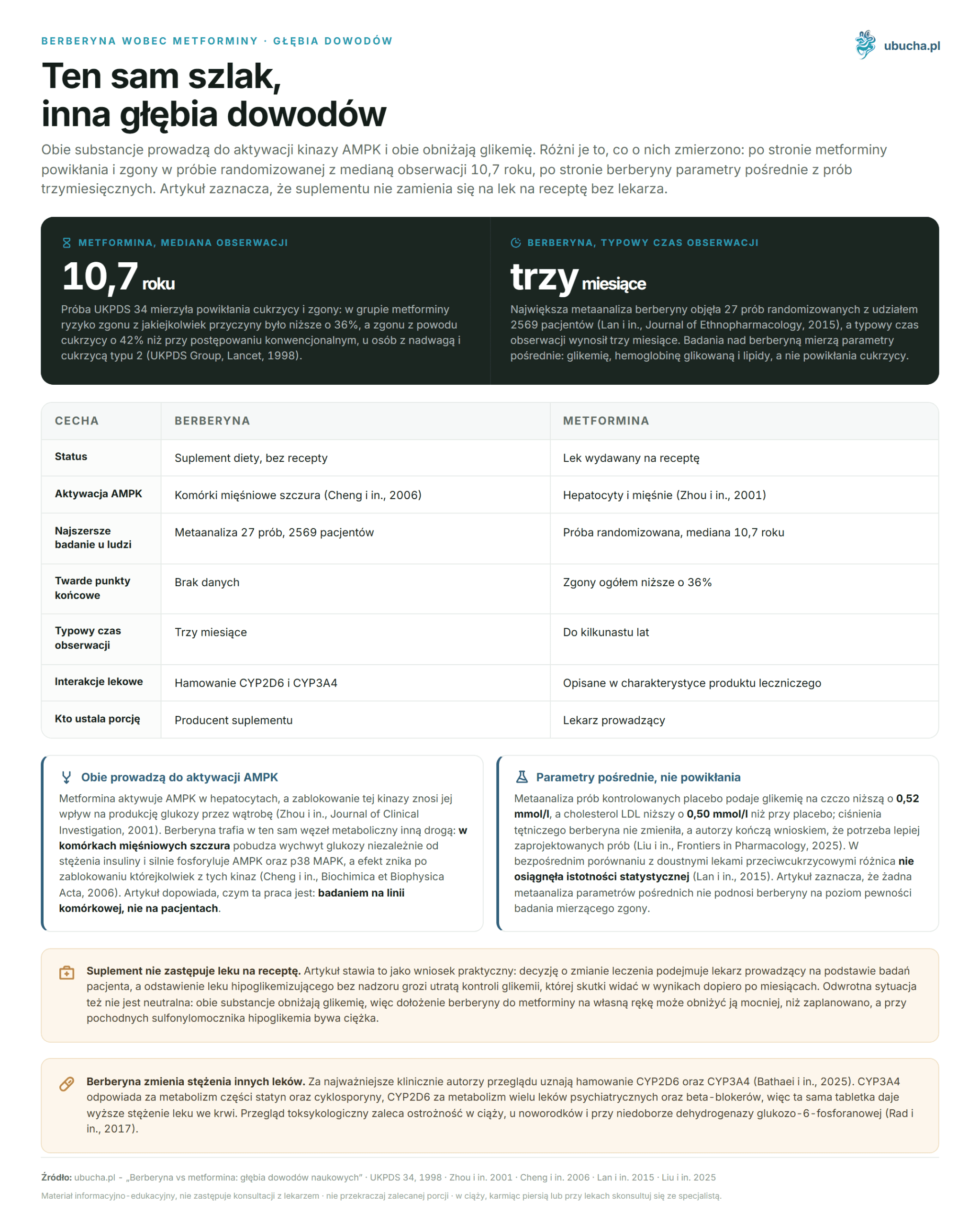 Berberine vs Metformin: The Depth of Scientific Evidence Berberyna wobec metforminy, Głębia dowodów - Ten sam szlak, inna głębia dowodów
