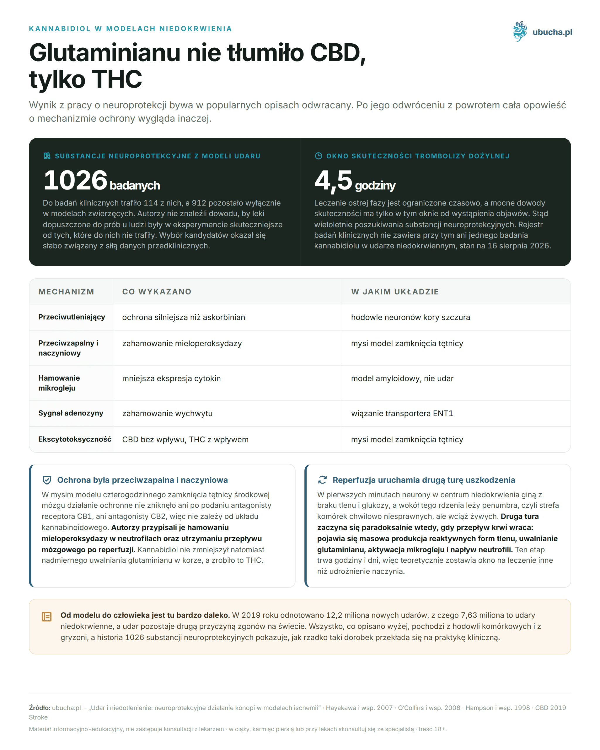 Stroke and Hypoxia: Neuroprotective Effects of Cannabis in Ischemia Models Kannabidiol w modelach niedokrwienia - Glutaminianu nie tłumiło CBD, tylko THC