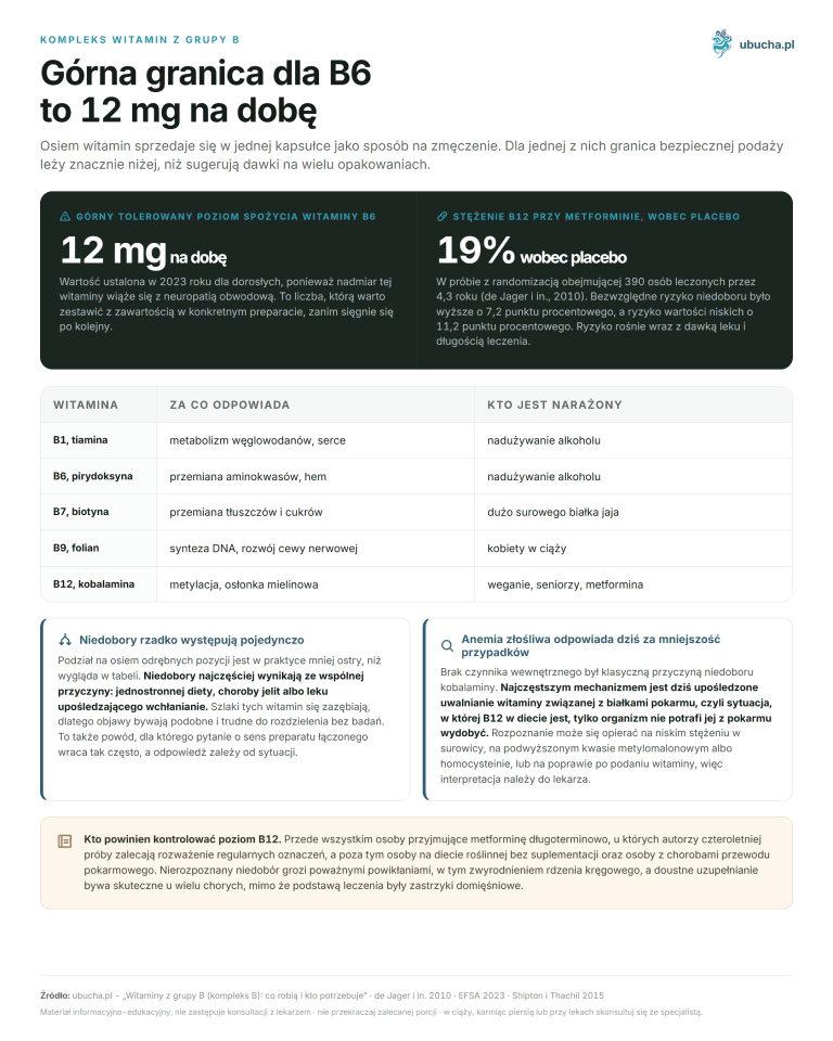 Witaminy z grupy B (kompleks B): co robią i kto potrzebuje Kompleks witamin z grupy B - Górna granica dla B6 to 12 mg na dobę