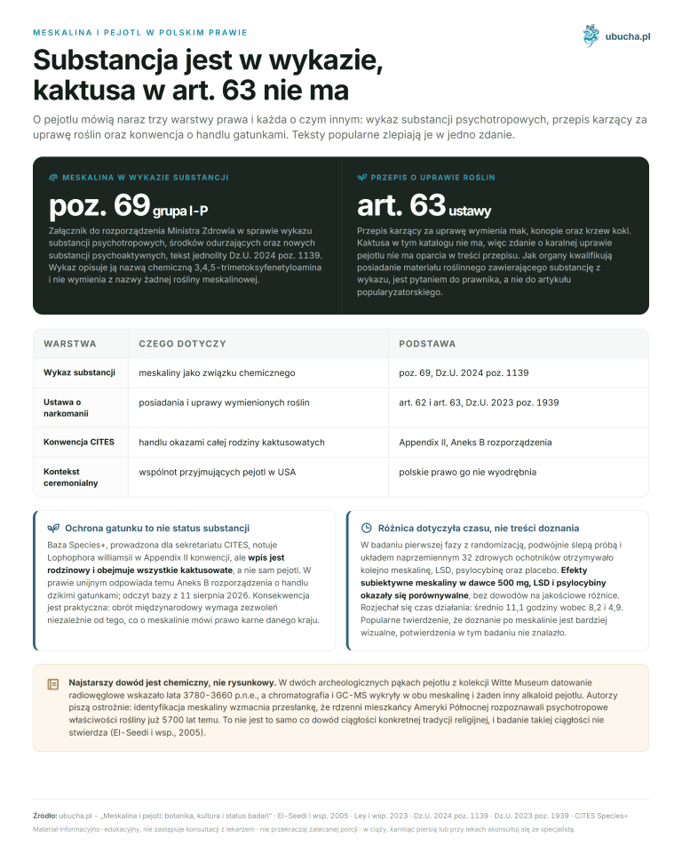 Meskalina i pejotl: botanika, kultura i status badań Meskalina i pejotl w polskim prawie - Substancja jest w wykazie, kaktusa w art. 63 nie ma
