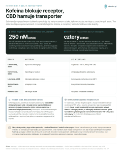 Kannabidiol a szlak adenozynowy - Kofeina blokuje receptor, CBD hamuje transporter