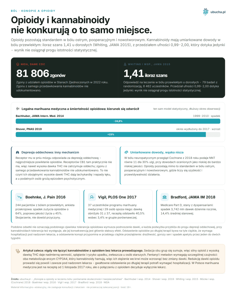 Cannabis and opioids in pain treatment: comparison of efficacy and safety 2026 Pain, Hemp and Opioids - Opioids and Cannabinoids Do Not Compete for the Same Place.