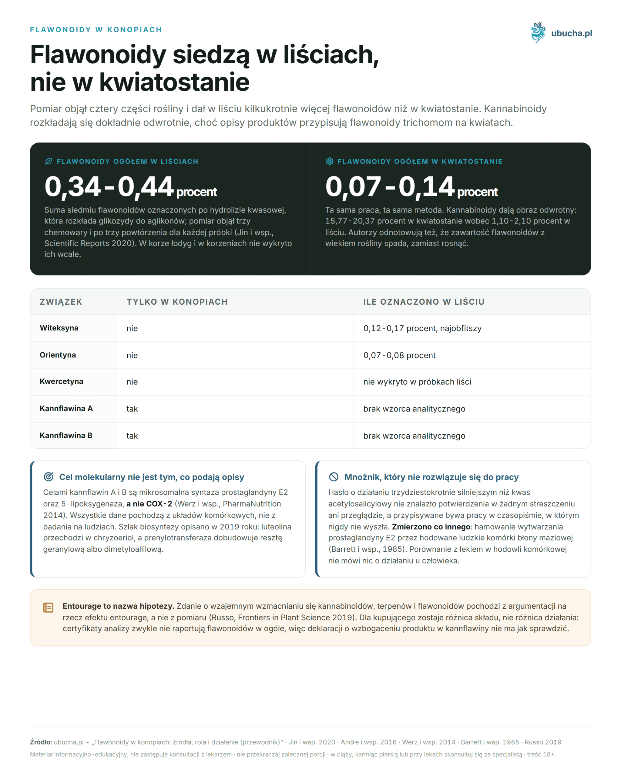 Flavonoide in Hanf: Quellen, Rolle und Wirkung (Leitfaden) Flawonoidy w konopiach - Flawonoidy siedzą w liściach, nie w kwiatostanie