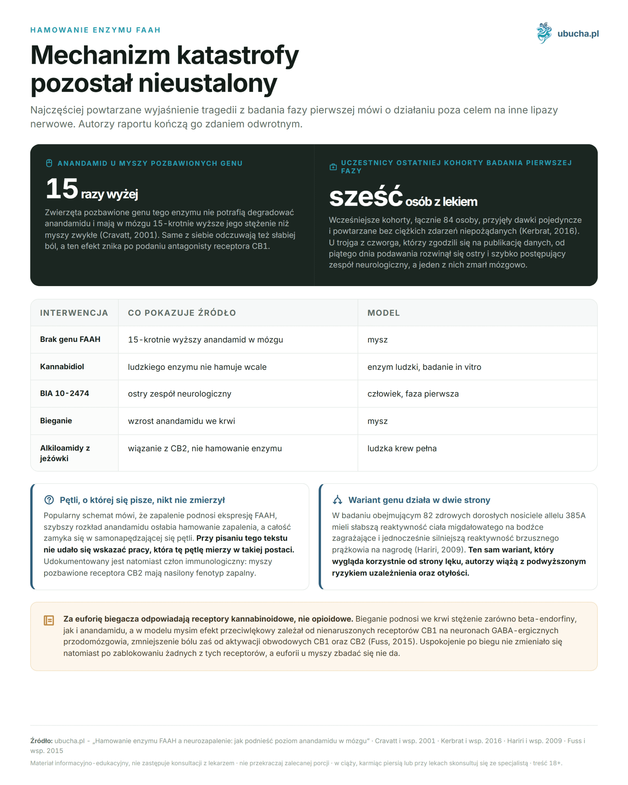 Hemmung des FAAH-Enzyms und Neuroinflammation: Wie man den Anandamidspiegel im Gehirn erhöht Hamowanie enzymu FAAH - Mechanizm katastrofy pozostał nieustalony