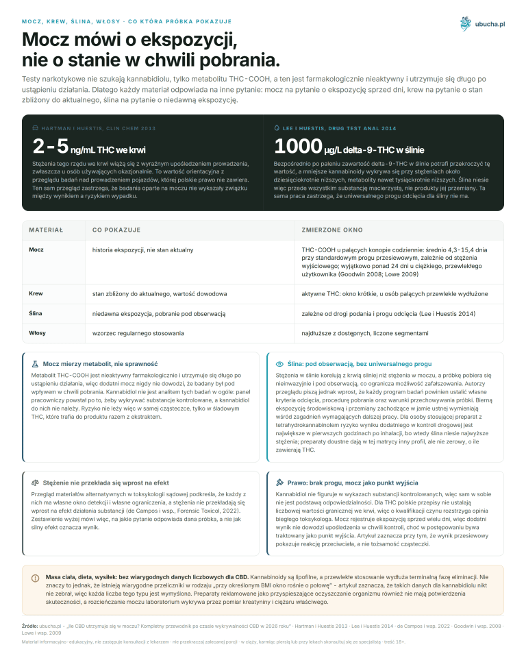 How Long Does CBD Last in Urine? A Complete Guide to CBD Detection Times in 2026 Urine indicates exposure, not the state at the time of collection.