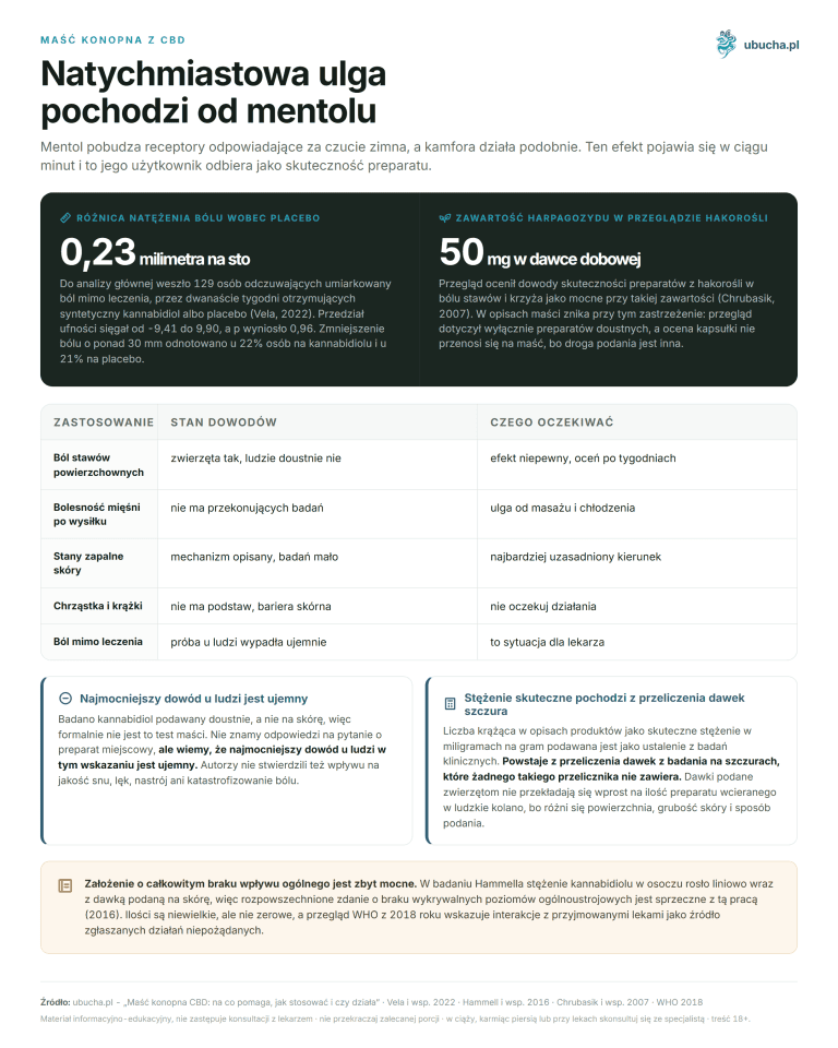 Maść konopna CBD: na co pomaga, jak stosować i czy działa Maść konopna z CBD - Natychmiastowa ulga pochodzi od mentolu