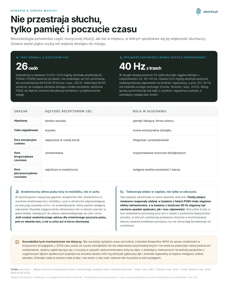 Wpływ marihuany na percepcję muzyki: neurobiologia, dylatacja czasu i kontekst kulturowy Konopie a odbiór muzyki - Nie przestraja słuchu, tylko pamięć i poczucie czasu