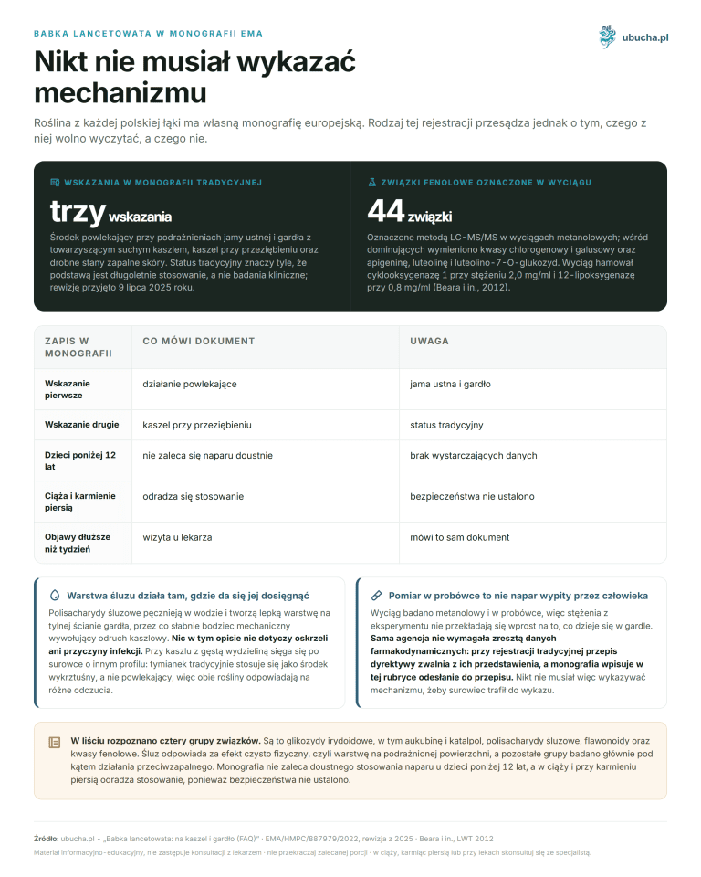 Spitzwegerich in der EMA-Monografie - Niemand musste den Mechanismus nachweisen