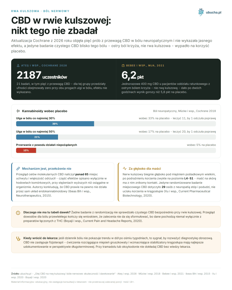 Rwa kulszowa, Ból nerwowy - CBD w rwie kulszowej: nikt tego nie zbadał