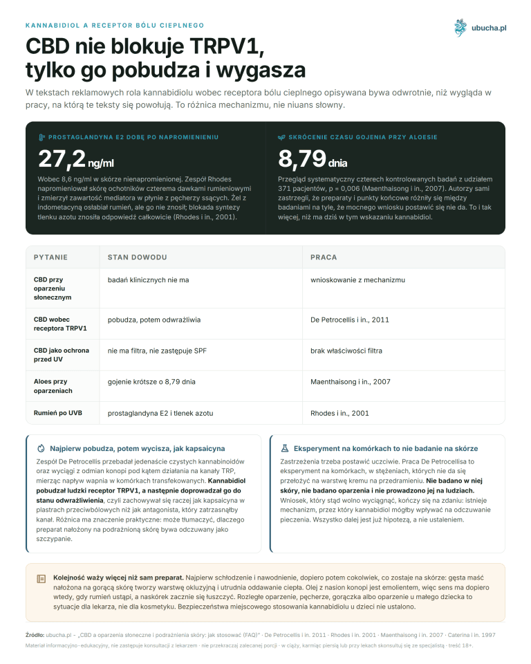 Kannabidiol a receptor bólu cieplnego - CBD nie blokuje TRPV1, tylko go pobudza i wygasza