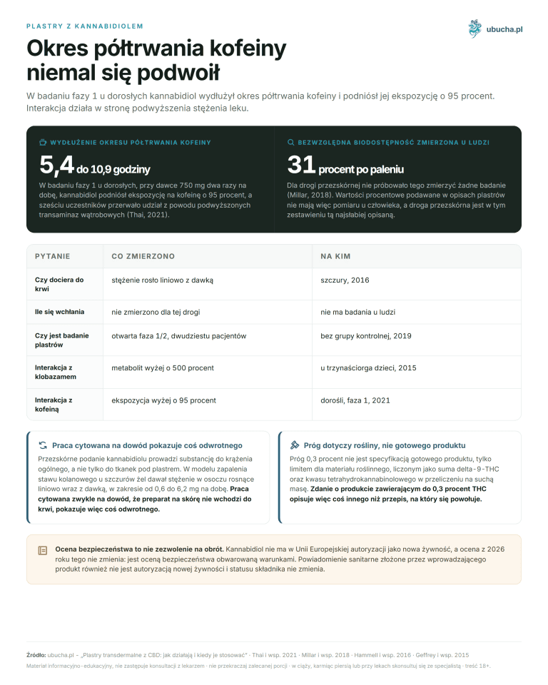 Plastry z kannabidiolem - Okres półtrwania kofeiny niemal się podwoił