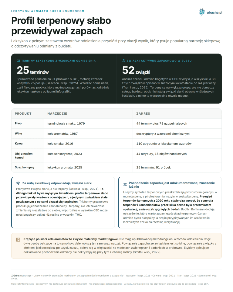 New Marijuana Aroma Dictionary: What the Scent Tells About the Strain and What It Doesn’t Leksykon aromatu suszu konopnego - Profil terpenowy słabo przewidywał zapach