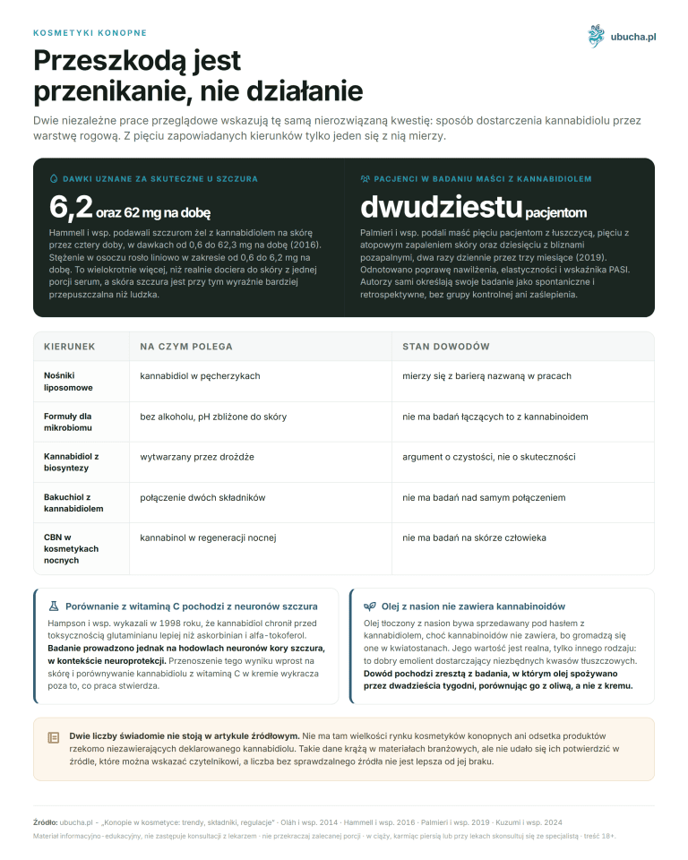 Kosmetyki konopne - Przeszkodą jest przenikanie, nie działanie
