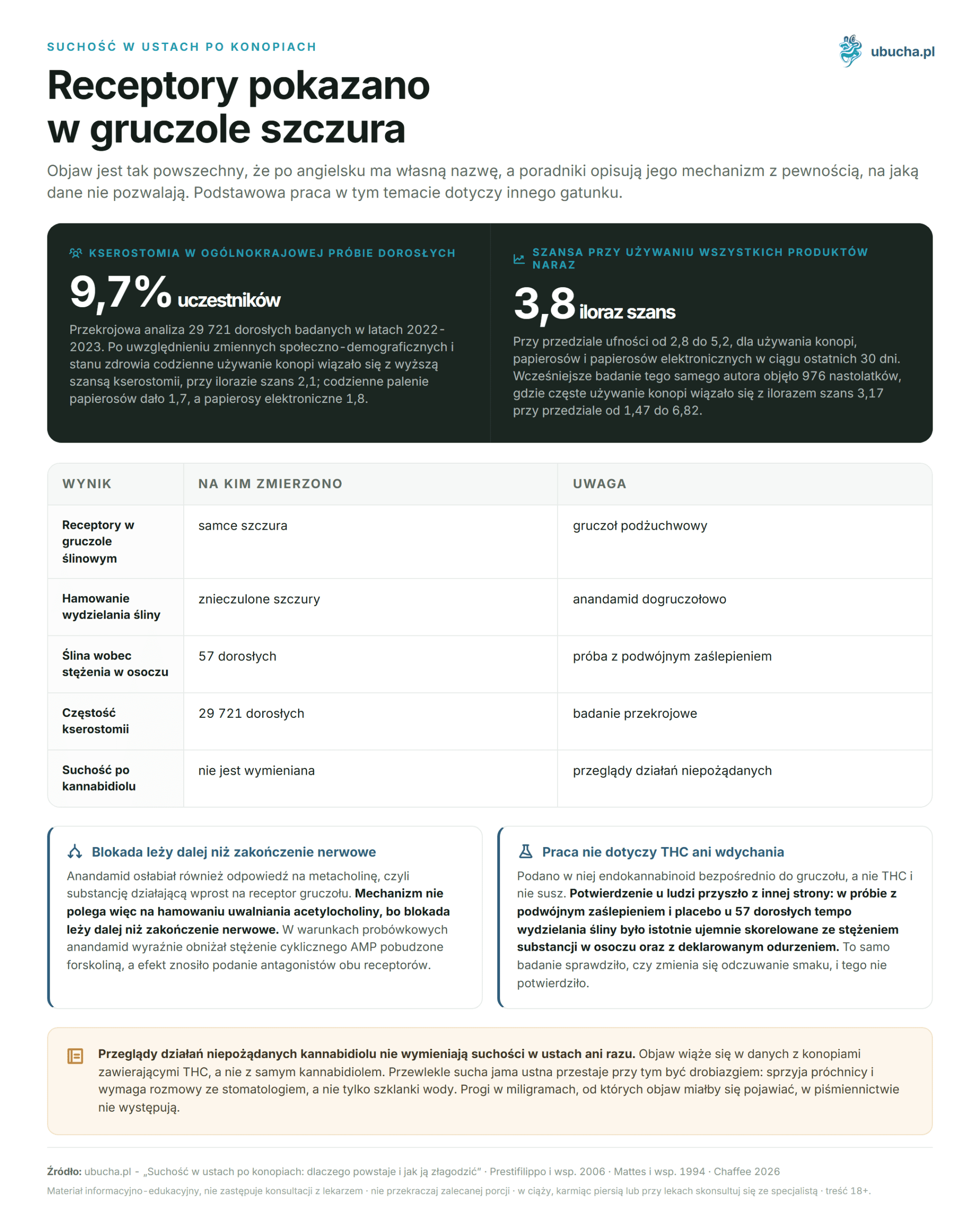 Dry Mouth After Cannabis: Why It Occurs and How to Alleviate It Suchość w ustach po konopiach - Receptory pokazano w gruczole szczura