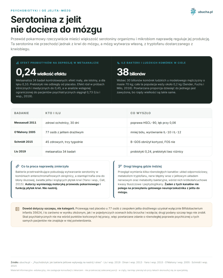 Psychobiotyki i oś jelita-mózg - Serotonina z jelit nie dociera do mózgu