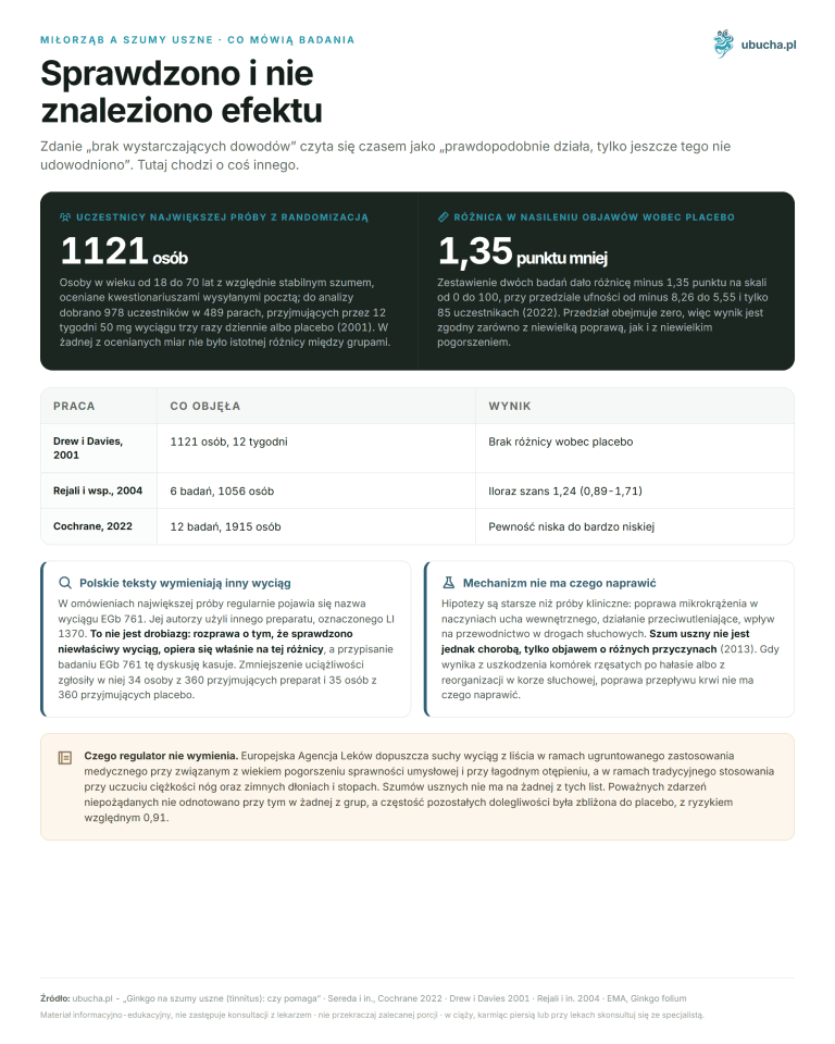 Ginkgo na szumy uszne (tinnitus): czy pomaga Miłorząb a szumy uszne, Co mówią badania - Sprawdzono i nie znaleziono efektu