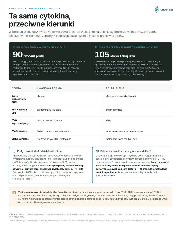 Kwas tetrahydrokannabinolowy - Ta sama cytokina, przeciwne kierunki