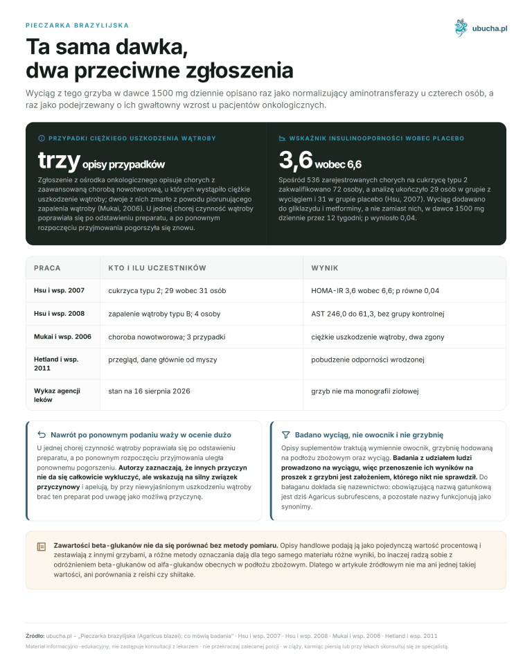 Pieczarka brazylijska - Ta sama dawka, dwa przeciwne zgłoszenia
