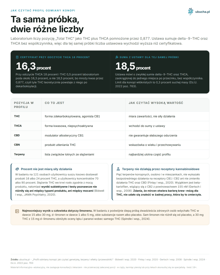 Profil odmiany konopi: jak czytać genetykę, terpeny i efekty (przewodnik) Jak czytać profil odmiany konopi - Ta sama próbka, dwie różne liczby