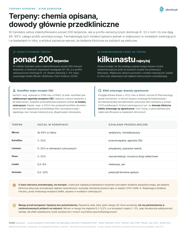Was sind Terpene in Marihuana und wie beeinflussen sie die Behandlung? Leitfaden 2026 Terpeny konopne, Stan dowodów - Terpeny: chemia opisana, dowody głównie przedkliniczne