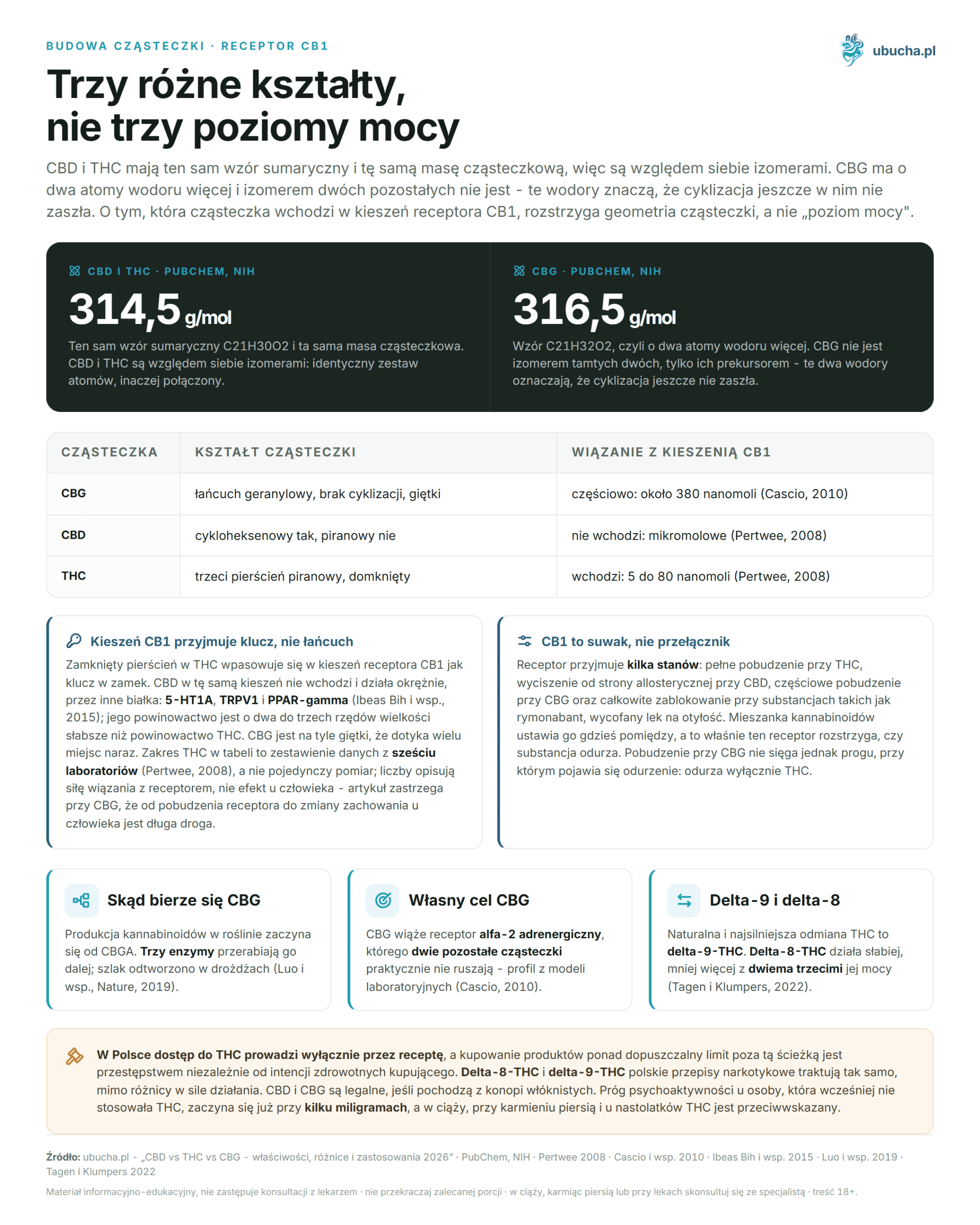 CBD vs THC vs CBG - properties, differences and uses 2026 Budowa cząsteczki, Receptor CB1 - Trzy różne kształty, nie trzy poziomy mocy