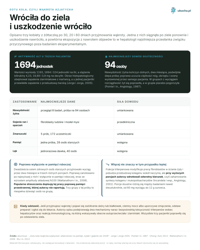Gotu kola, czyli wąkrota azjatycka - Wróciła do ziela i uszkodzenie wróciło