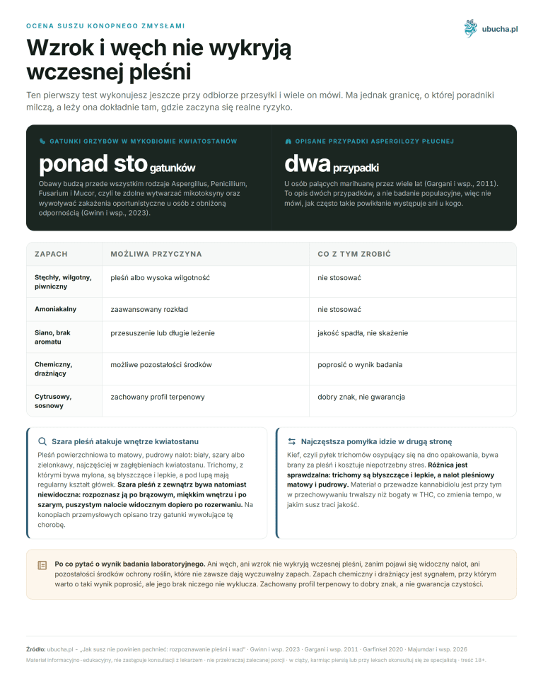 Ocena suszu konopnego zmysłami - Wzrok i węch nie wykryją wczesnej pleśni