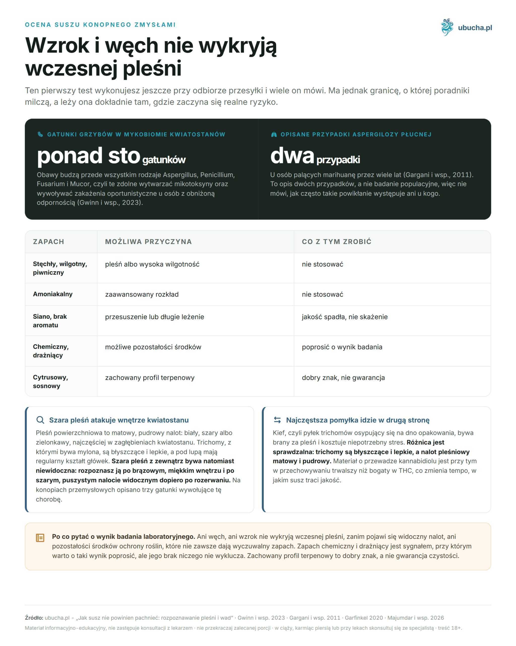 How dried cannabis should not smell: recognizing mold and defects Ocena suszu konopnego zmysłami - Wzrok i węch nie wykryją wczesnej pleśni