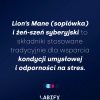 LABIFY Energy Power+ - zdjęcie 7 LABIFY Energy Power+ - grafika producenta o soplówce jeżowatej i żeń-szeniu syberyjskim