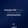 LABIFY Mind Focus+ - zdjęcie 7 LABIFY Mind Focus+ - grafika producenta o koenzymie Q10, jasny tekst na granatowym tle