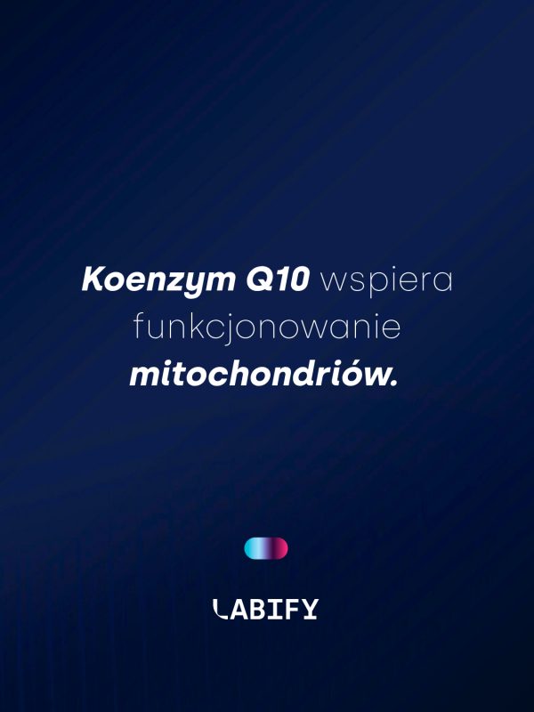 LABIFY Mind Focus+ - zdjęcie 7 LABIFY Mind Focus+ - grafika producenta o koenzymie Q10, jasny tekst na granatowym tle