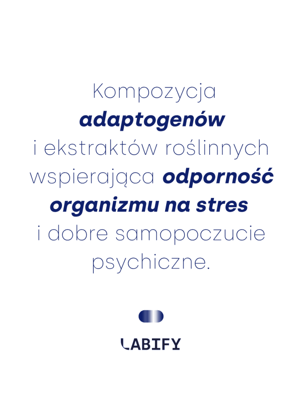 LABIFY Mind Sleep+ - zdjęcie 4 LABIFY Mind Sleep+ - grafika producenta o adaptogenach i ekstraktach roślinnych