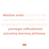 LABIFY Maślan sodu MONO - zdjęcie 2 LABIFY Maślan sodu MONO - grafika producenta o maslanie sodu, łososiowy tekst na białym tle