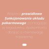 LABIFY Maślan sodu MONO - zdjęcie 3 LABIFY Maślan sodu MONO - grafika producenta o układzie pokarmowym, biały tekst na łososiowym tle