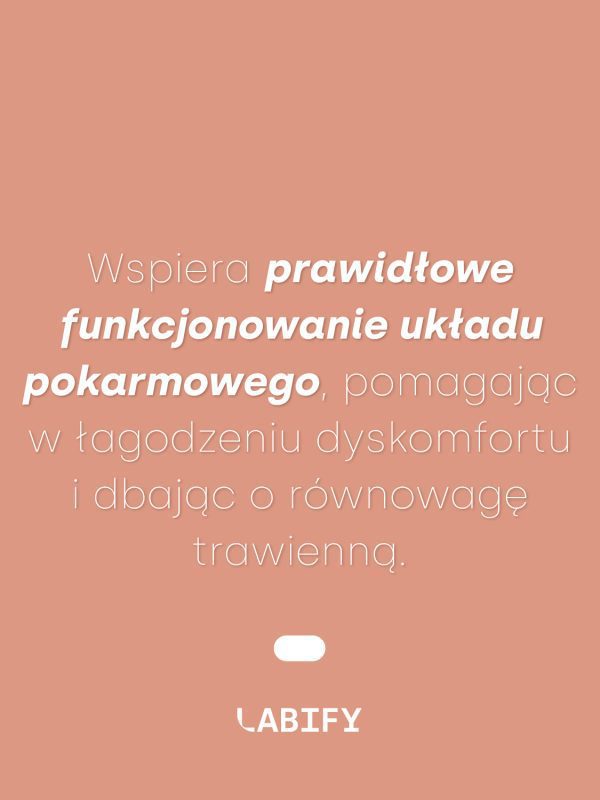 LABIFY Maślan sodu MONO - zdjęcie 3 LABIFY Maślan sodu MONO - grafika producenta o układzie pokarmowym, biały tekst na łososiowym tle