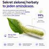 LABIFY L-teanina MONO - zdjęcie 3 LABIFY L-teanina MONO - grafika producenta o L-teaninie z ilustracją kapsułki i liścia