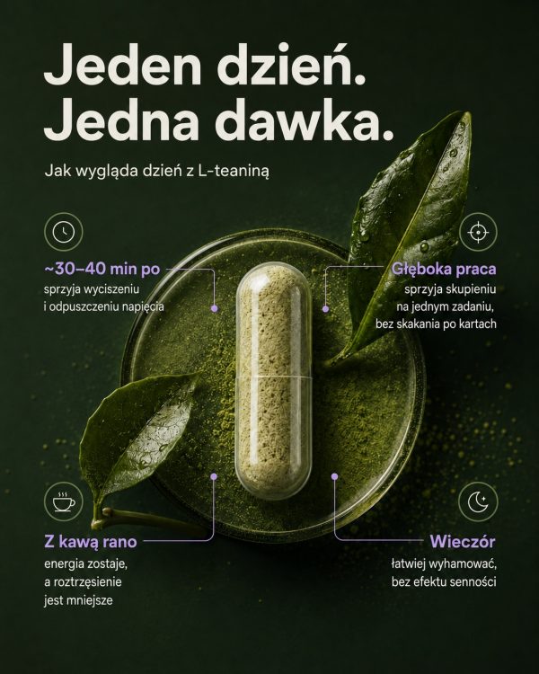 LABIFY L-teanina MONO - zdjęcie 6 LABIFY L-teanina MONO - grafika producenta o porze przyjmowania kapsułki, ciemnozielone tło